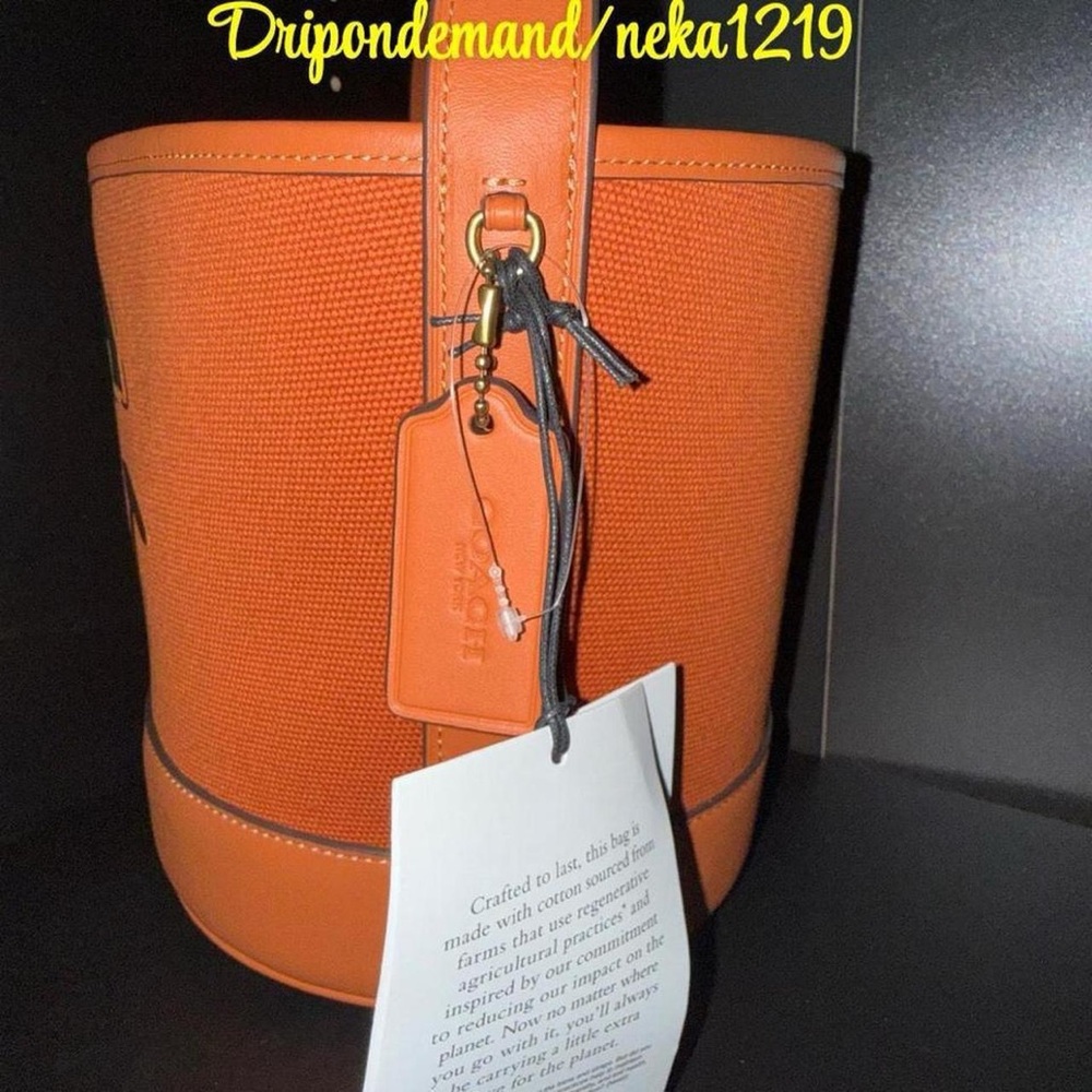 Coach Trick Or Treat Bucket Bag With Halloween Pumpkin In Regenerative Cotton - Picture 4 of 9